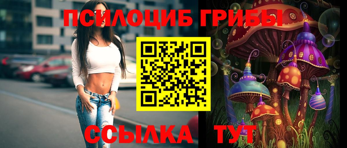 Тобольск  Псилоцибиновые грибы Psilocybe  Вход с VPN  Псилоцибиновые грибы GOLDEN TEACHER 